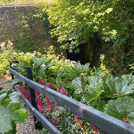Atlantic Garden Lodge Lisdoonvarna Bagian luar foto